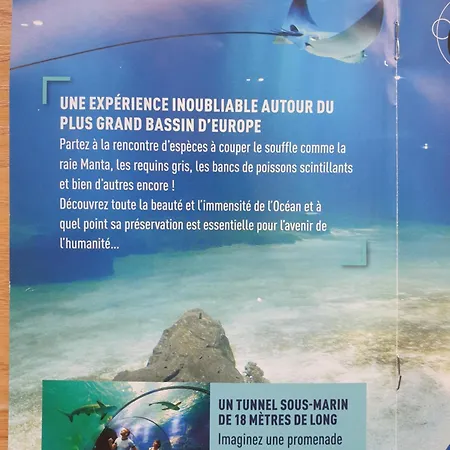 Nid Du Detroit * Boulogne-sur-Mer